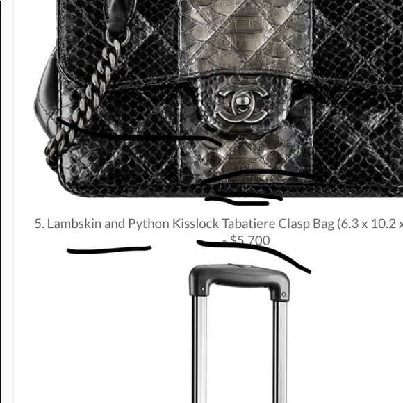 Chanel 2015 Lambskin and Python Kisslock Tabatiere - Picture 7 of 7